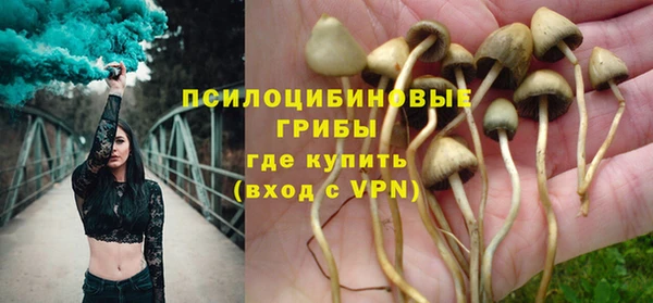 героин Алзамай