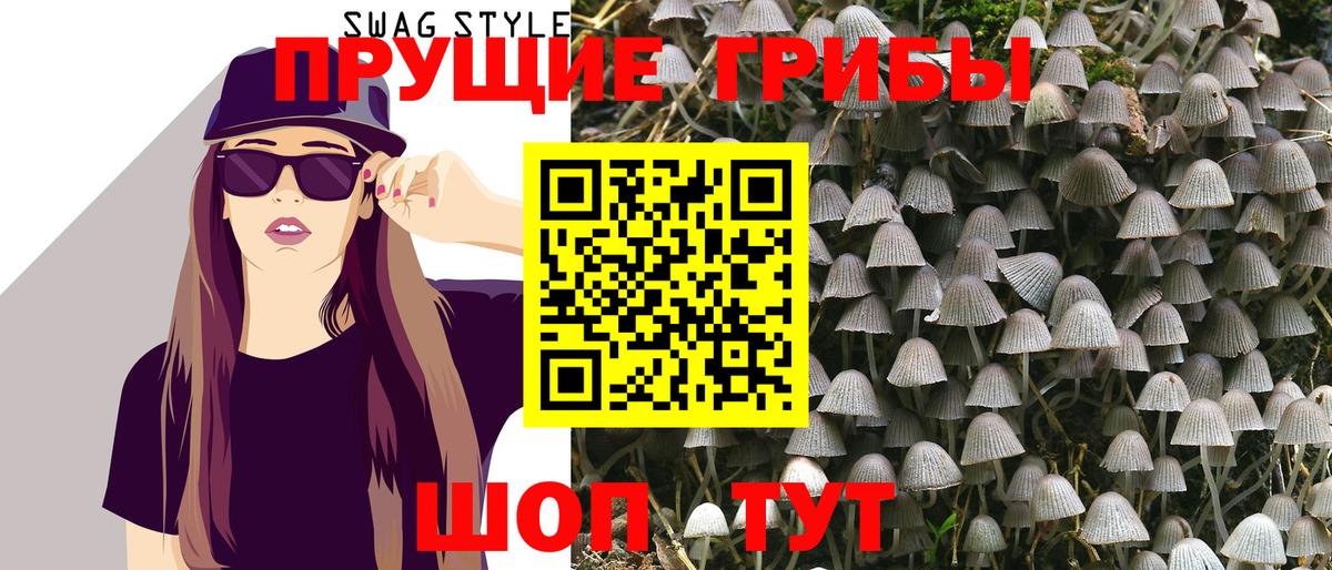 Переславль-Залесский  Псилоцибиновые грибы Magic Shrooms  Вход с VPN 
